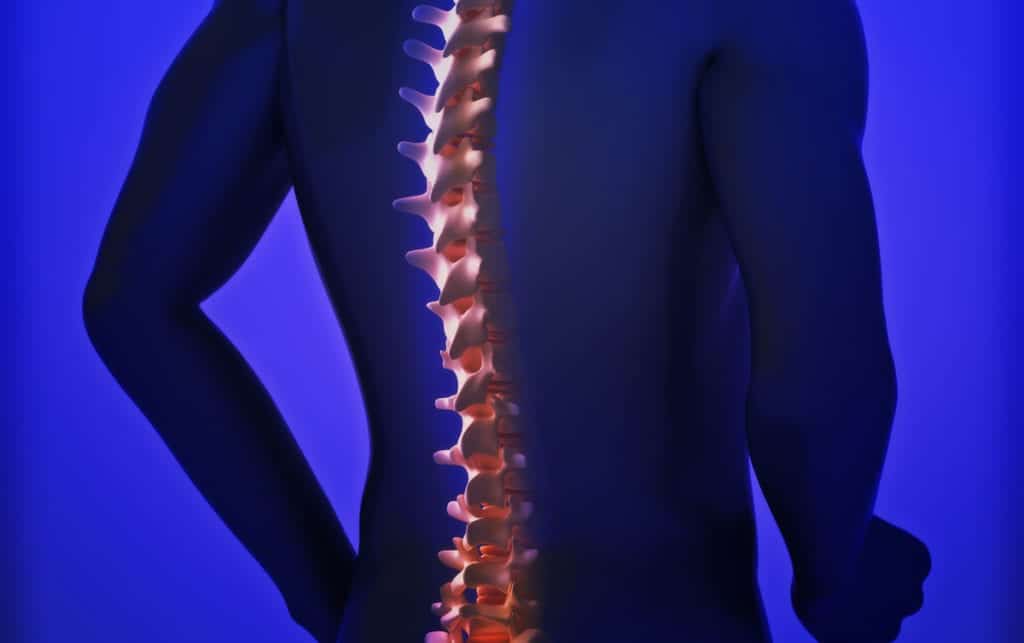 thermal image of mans spine