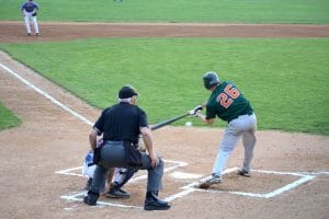 Minor league baseball team playing a baseball game with umpire