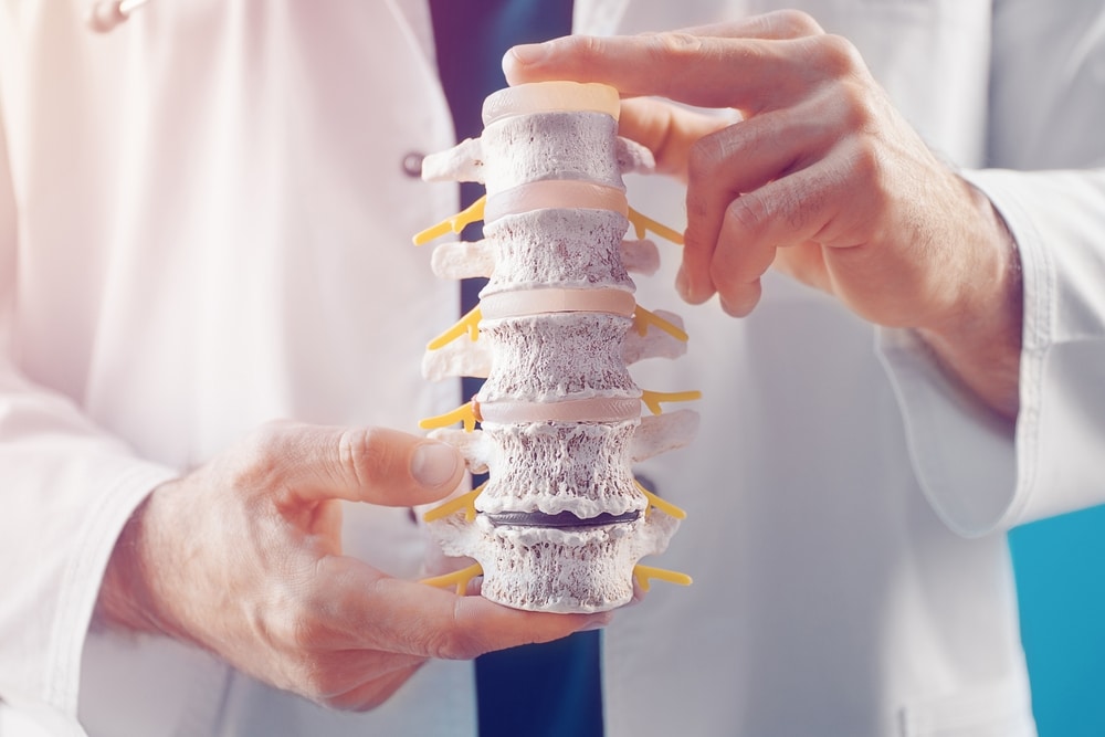 Doctor Holding A Model Of A Human Spine